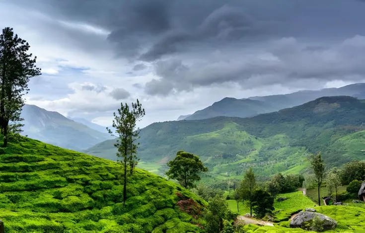 Kerala Wayanad Tour Packages from Bangalore